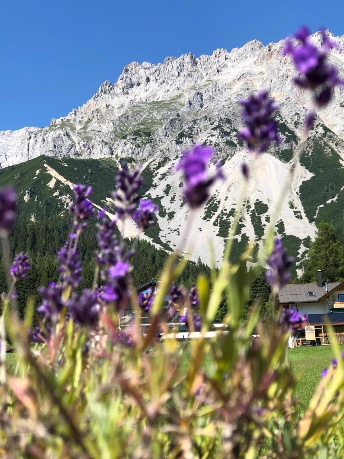 Club Villa Ramsau am Dachstein Zewnętrze zdjęcie